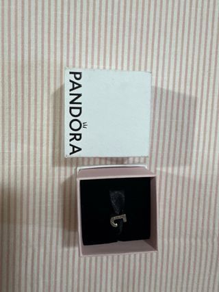 Charm Pandora J