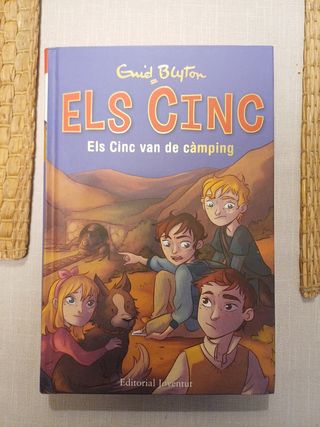 Els Cinc van de càmping