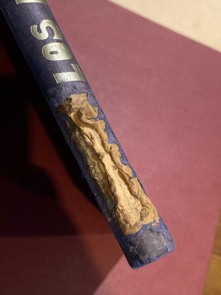 Los Forrenta Años de Forges