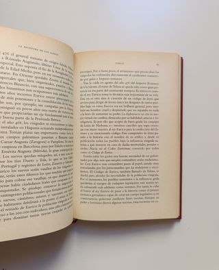 La aventura de los godos.