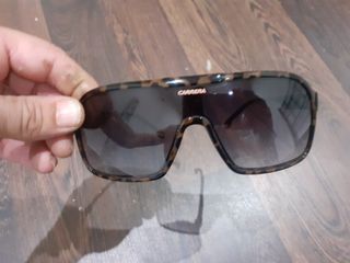 Gafas de sol Carrera marrones