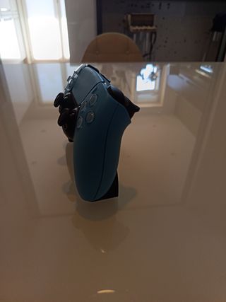 Porta controller PS5 minimal