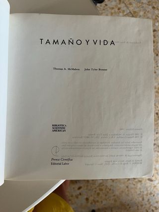 Tamaño y vida