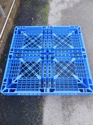 Palets de plástico azules
