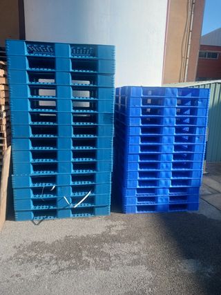 Palets de plástico azules