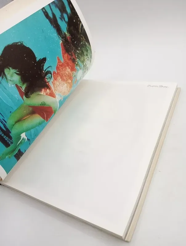 Bjorg as a book - Icelandic