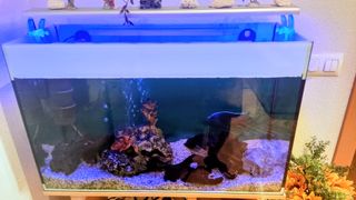 Pack Acuario 120L + Mueble y Accesorios