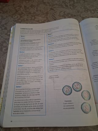Libro Biología 2 Bachillerato Edelvives