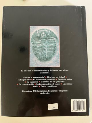 Los Fósiles (guía práctica para el aficionado)