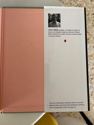 Los Fósiles (guía práctica para el aficionado)