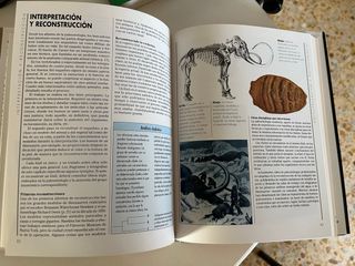 Los Fósiles (guía práctica para el aficionado)
