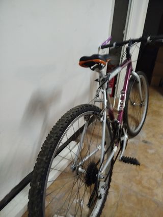 Bicicleta TNT Aluminio