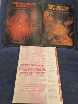 Teclado Yamaha PSR-185