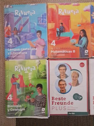 Libros 4 Eso Sm