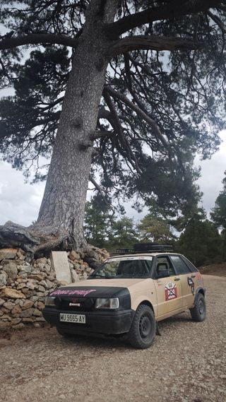 SEAT Ibiza 1992 Raid