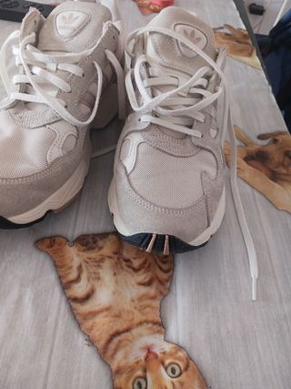 Adidas Bambas Beige