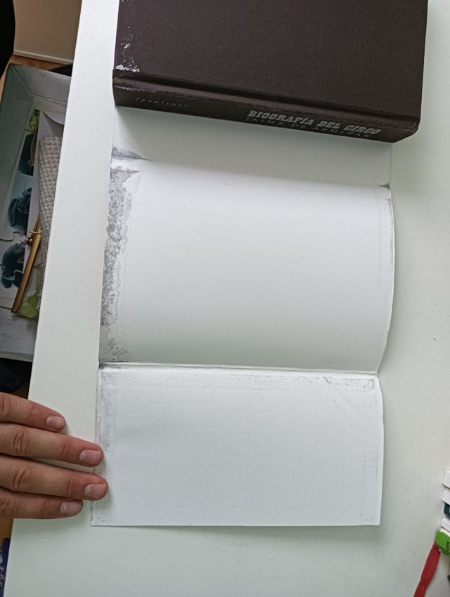 Biografía del circo