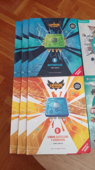 Lote Libros 6 primaria