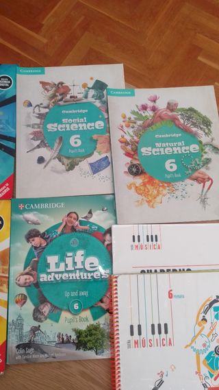 Lote Libros 6 primaria