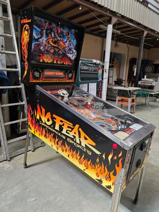 Pinball Williams No Fear