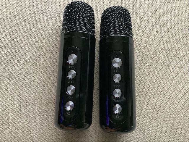 Karaoke QEEKADA con 2 Micrófonos Inalámbricos