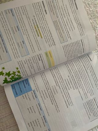 Proyecto: FanFest - Lengua Castellana y Literat...