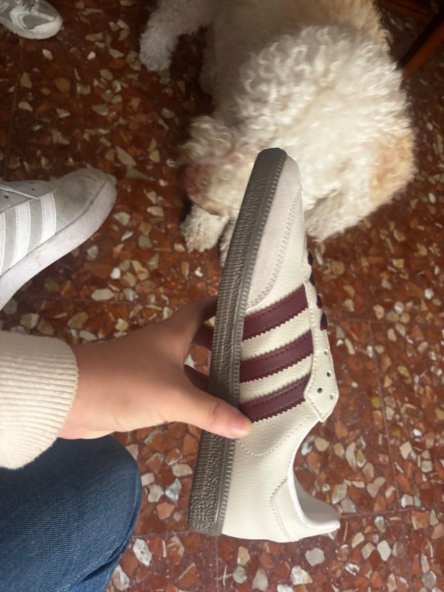 Zapatillas Adidas Samba Beige y Rojo