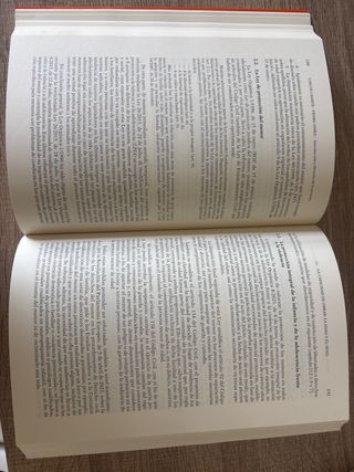 Principios de Derecho civil I