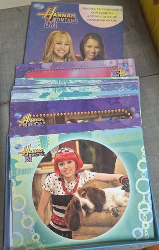 Hannah Montana Disney Láminas Decorativas