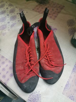 Pies de gato Garra