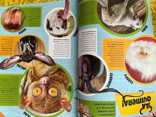 Guinness World Records. Animales