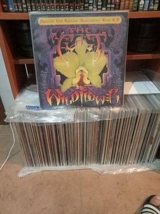 Vinilo The Cult Wildflower Australian Tour EP
