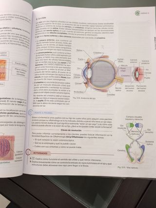 Anatomofisiología y patologías básicas