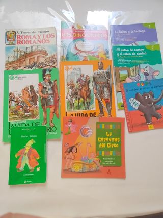 Lote de Libros Juvenil / Infantil 