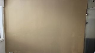 Pintura Blanca (pintor) 