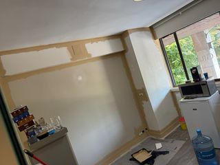 Pintura Blanca (pintor) 