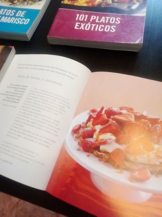 4 libros con 101 recetas diferentes cada uno 