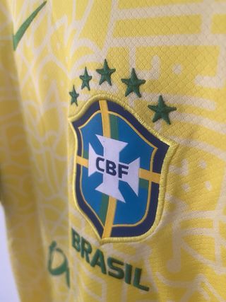 Charles Do Bronxs Oliveira x Brasil