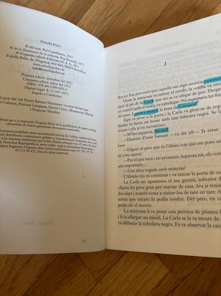 L'assassina de Venècia: Premi Ramon Muntaner 2021