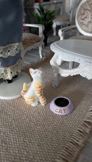 Gatto e ciotola per dollhouse 1:12