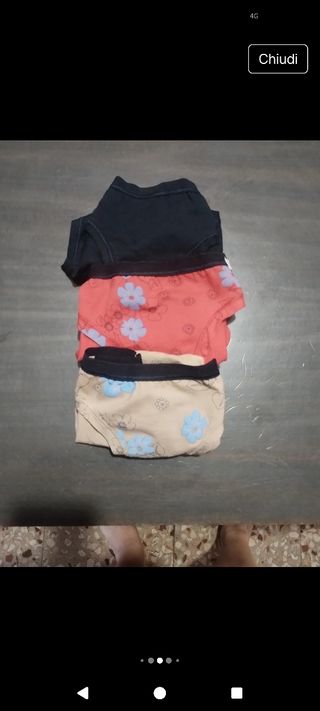 Pierre Cardin 3 slip
