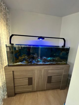Acuario Marino Completo con Filtro
