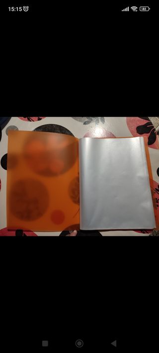 Carpeta con 40 fundas de plástico
