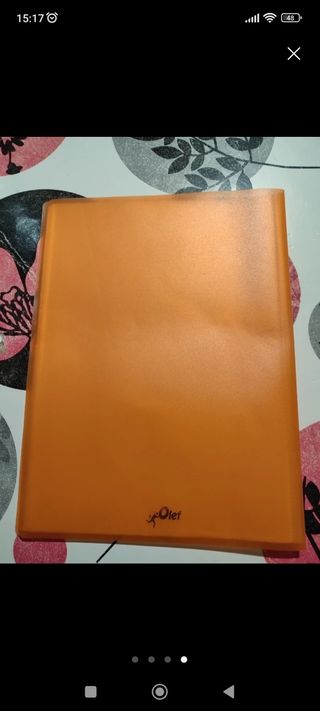 Carpeta con 40 fundas de plástico