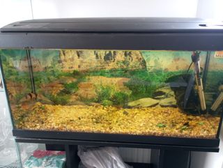Acuario completo