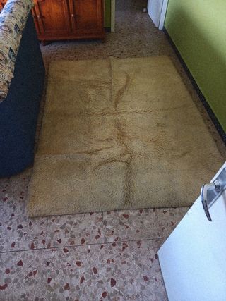 Alfombra de lana beige
