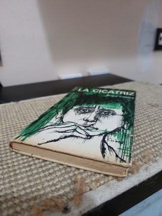 La cicatriz. Novela de Bruce Lowery.