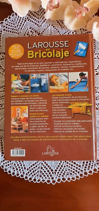 Larousse Bricolaje 