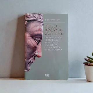 Diego de Anaya y Maldonado