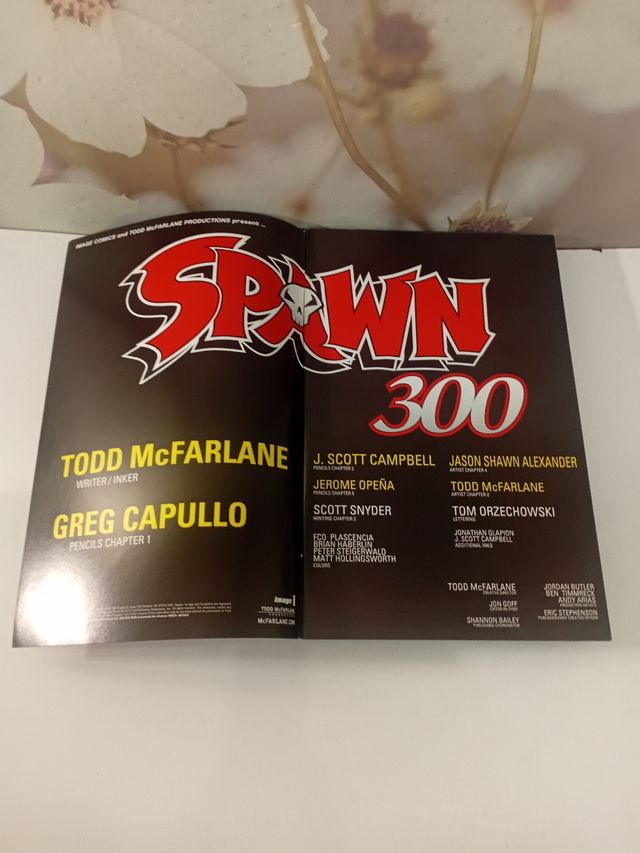 Cómic Spawn #300 Image USA